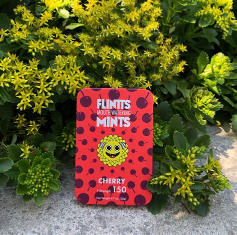 We Asked 10 People to Try Flintts Mouthwatering Mints